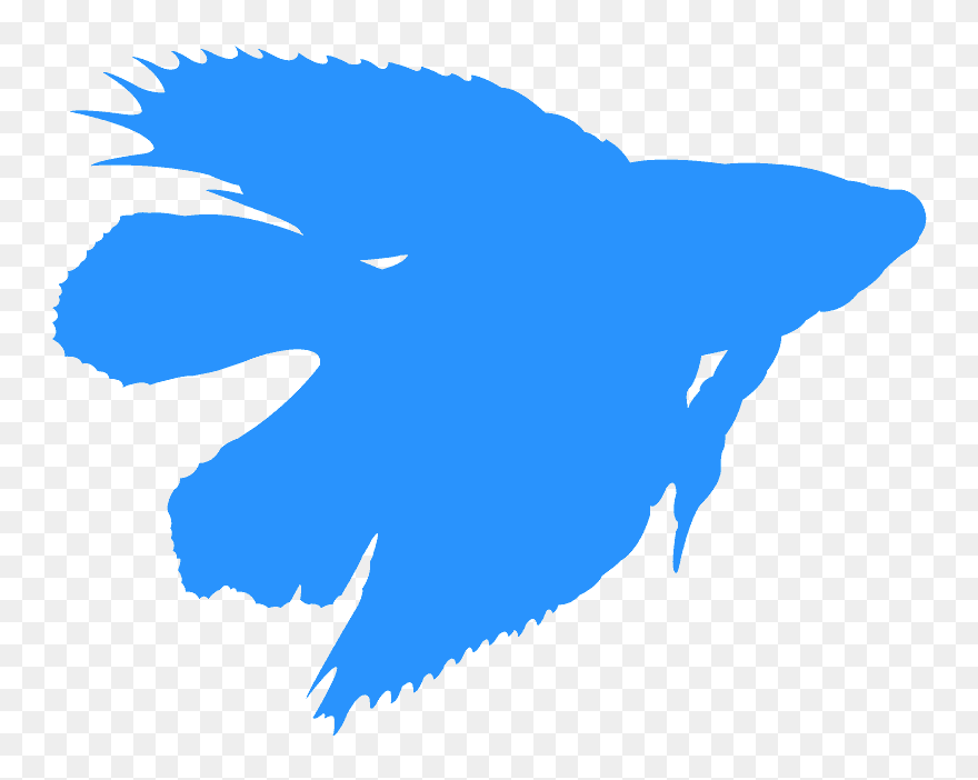 Betta Fish Silhouette Clipart