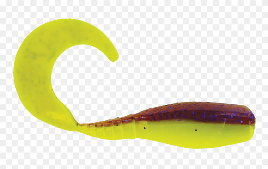 2 Curly Tail Crappie Minnr In Purple Glitter - Caterpillar Clipart