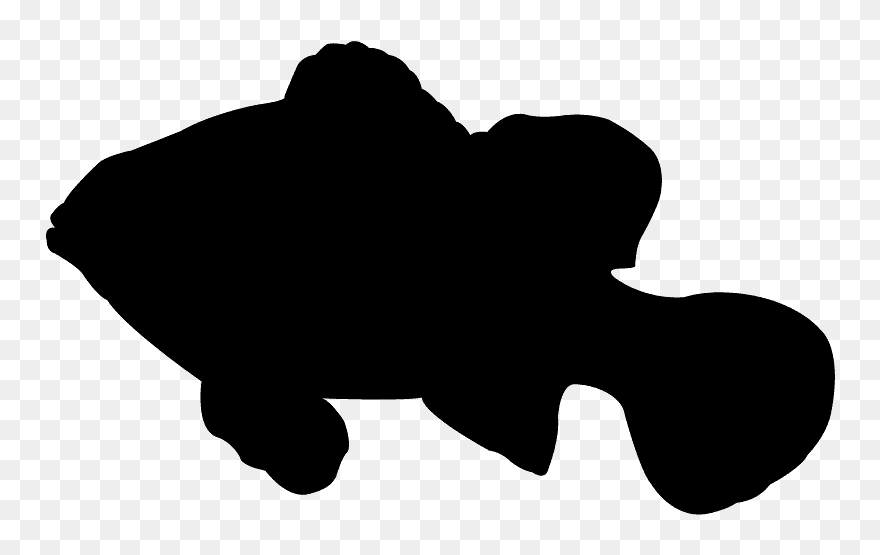 Clown Fish Silhouette Clipart