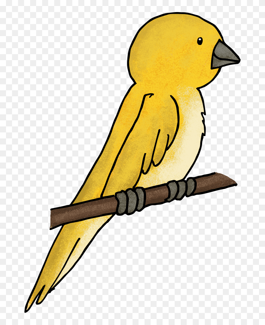 Transparent Playdoh Clipart - Bird Perch Clipart - Png Download