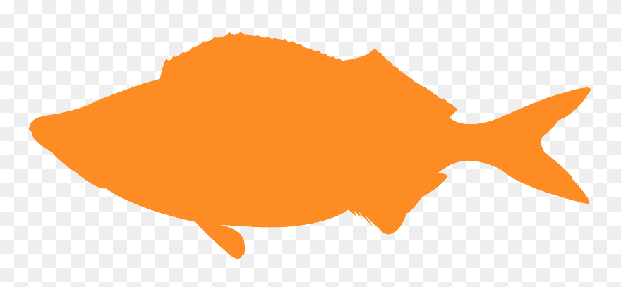 Transparent Texas Shape No Background Clipart