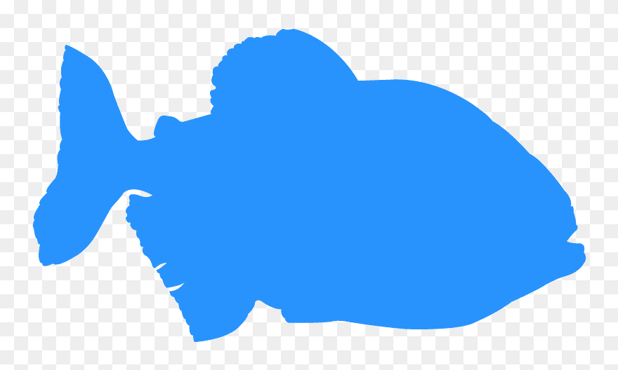 Clip Art - Png Download