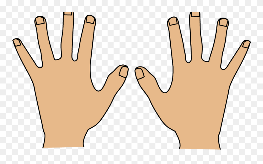 Transparent Hand Hygiene Clipart - Left And Right Hand Clipart - Png Download