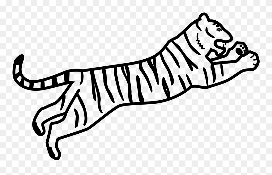 Easy Bengal Tiger Drawing Clipart