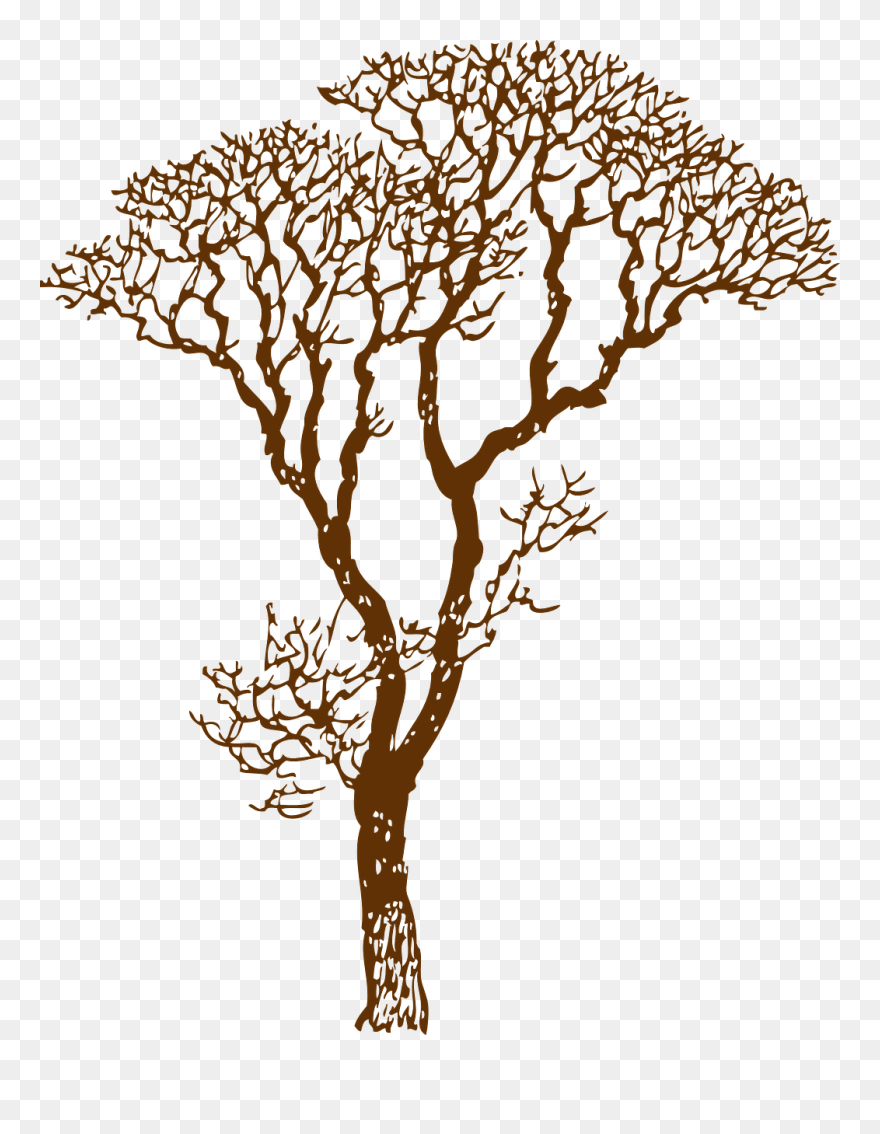 How To Draw A Tree, Stencil - Simple Black And White Tree Clipart