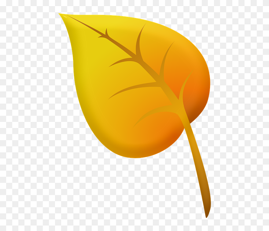 Clip Art - Png Download