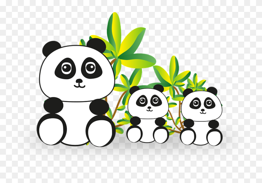 Panda Birthday Theme Boy Clipart
