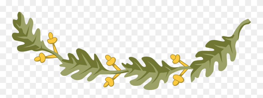 Plant,grass,leaf - Free Oak Leaves Png Clipart