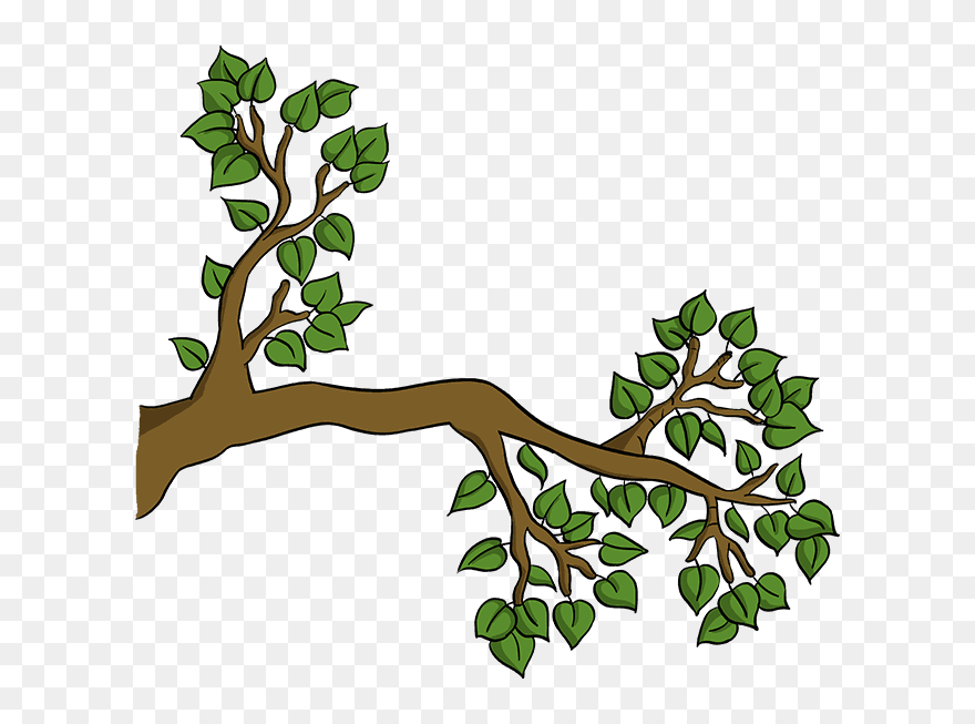 How To Draw Tree Branch Clipart