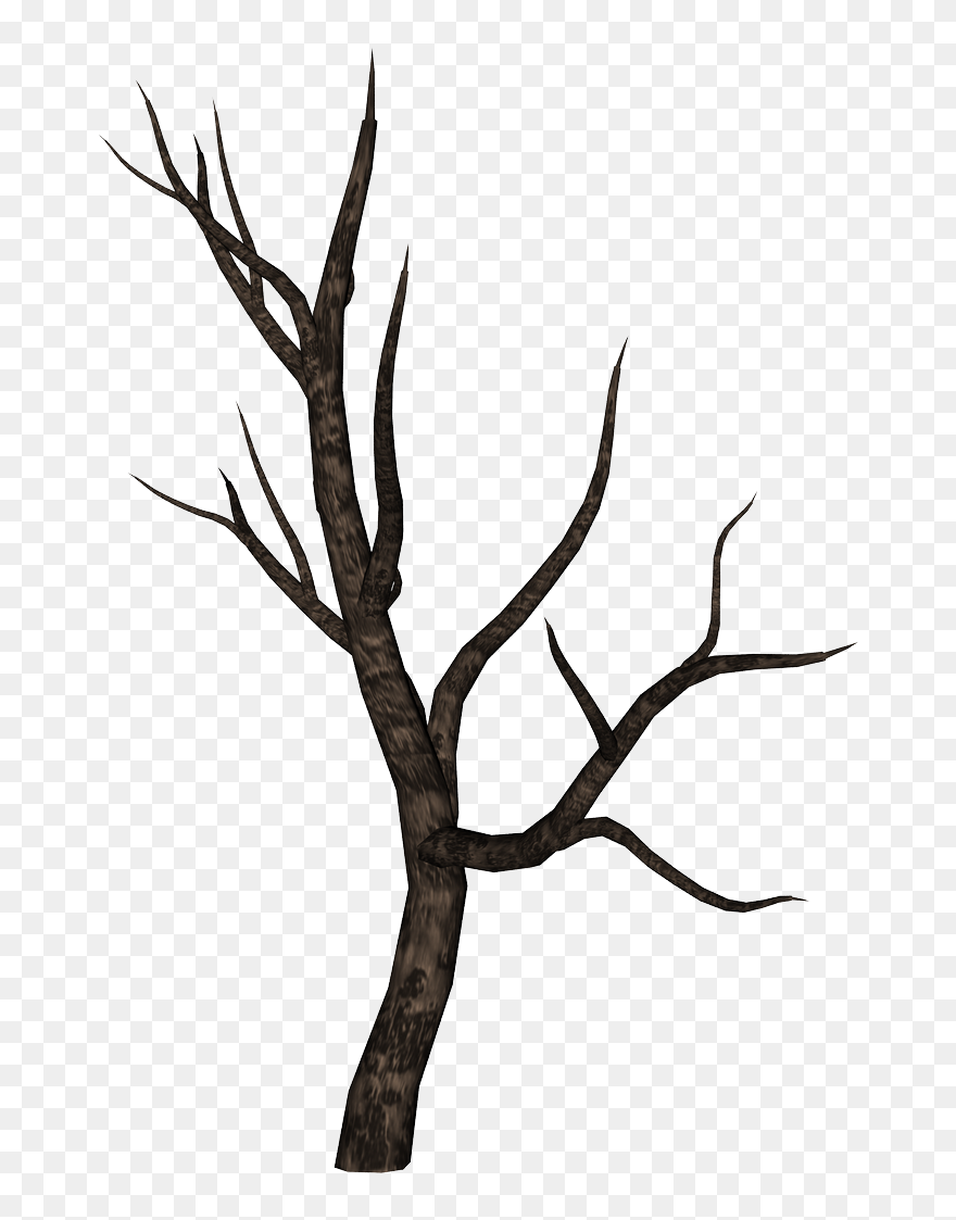 Stick Clipart Bare Branch - Spooky Tree Branch Png Transparent Png