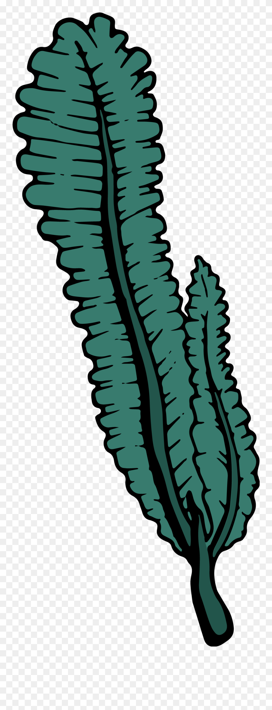 Clip Art - Png Download