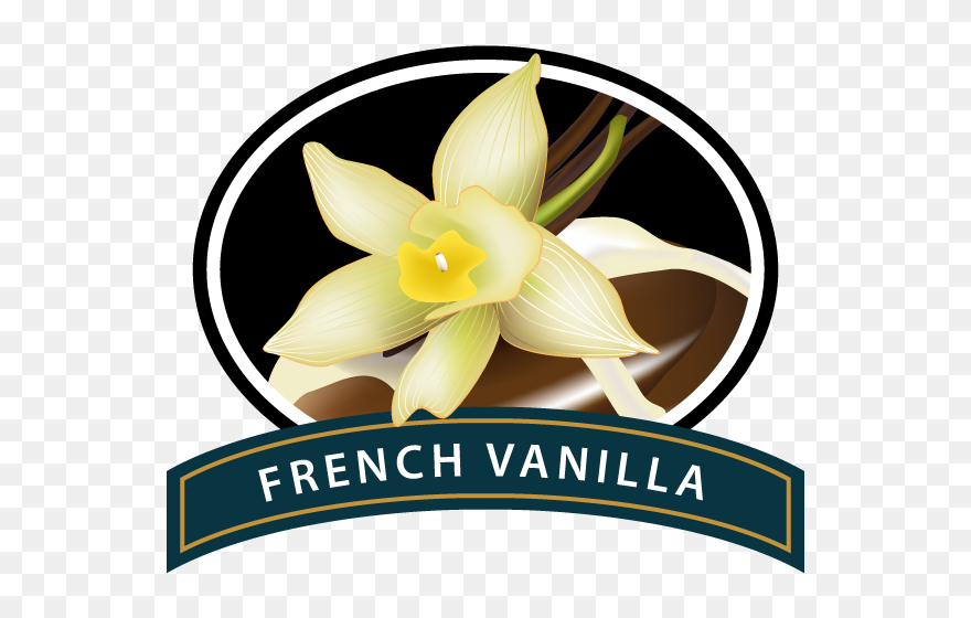 French Vanilla Clip Art - Png Download