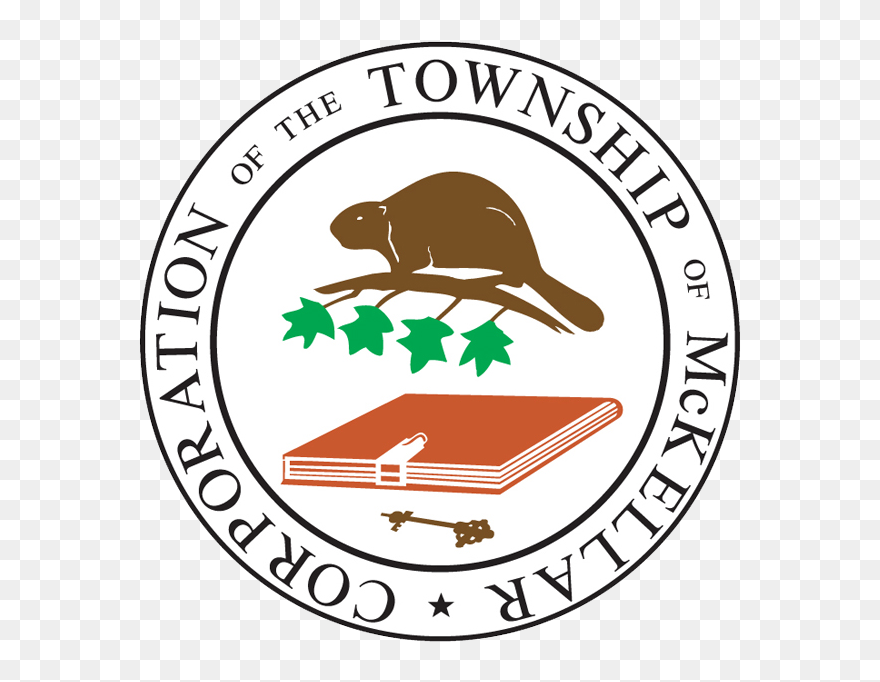 Shuffleboard Clipart - Png Download