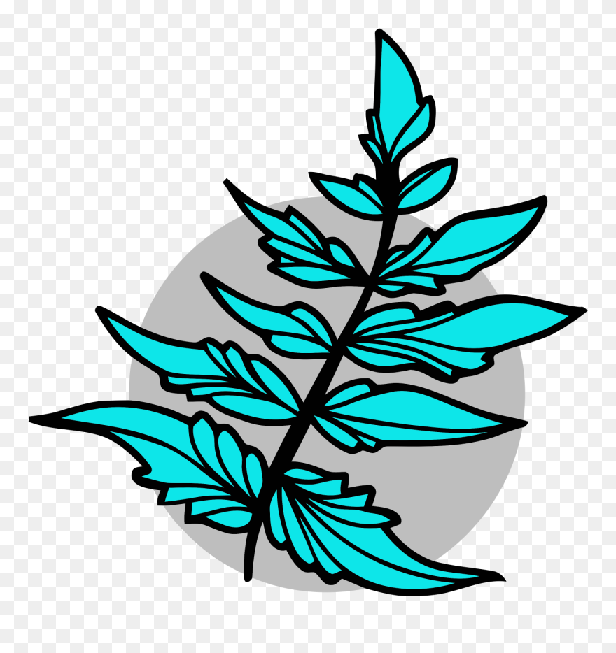 Transparent Fern Clipart - Fern - Png Download