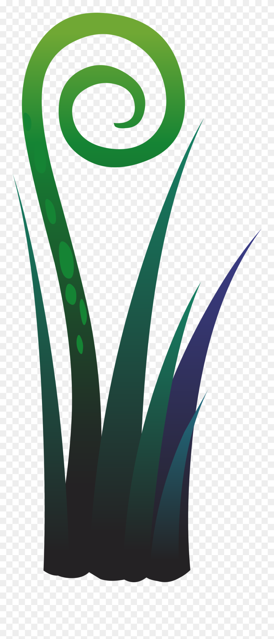 Ilmenskie Plant Fern 5 Clip Arts - Clip Art - Png Download