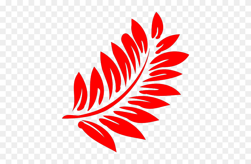 Fern Clip Art - Png Download