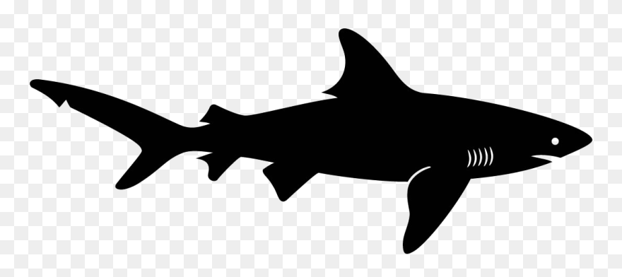 Shark Clipart Shape - Shark Black Clipart - Png Download