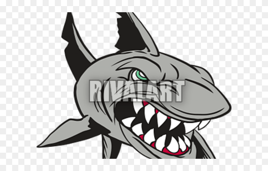Shark Clipart Mean - Mako Shark Drawing - Png Download