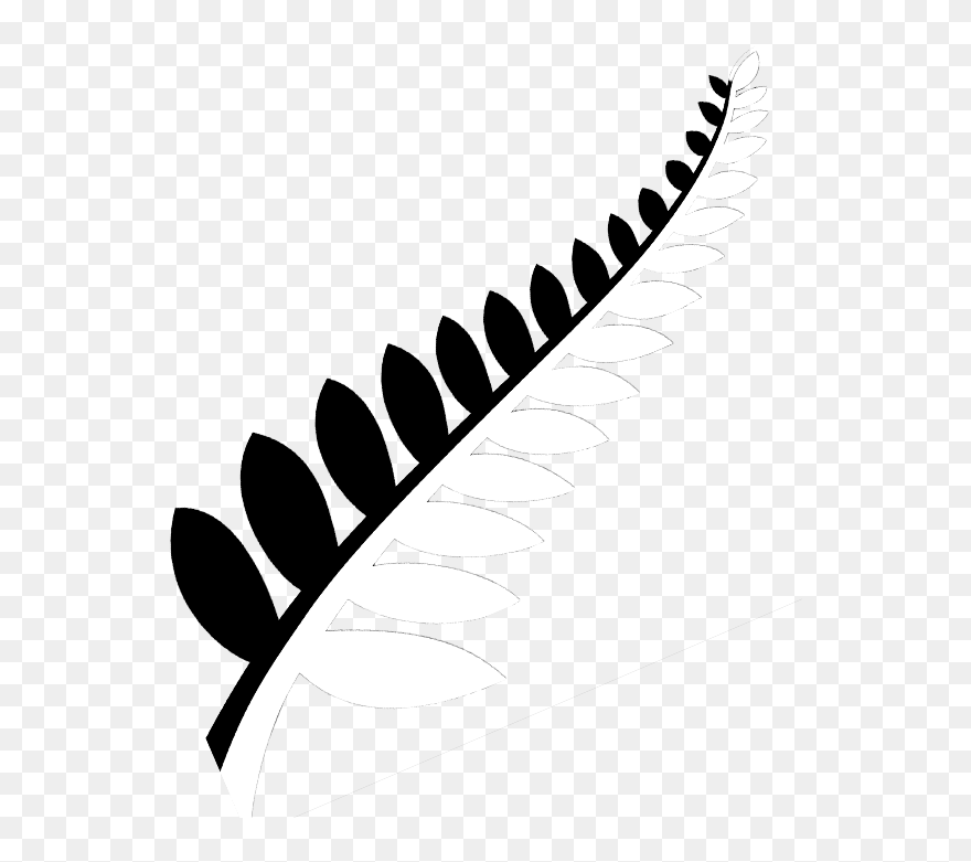 Drawn Fern New Zealand Fern - New Zealand Leaf Png Clipart