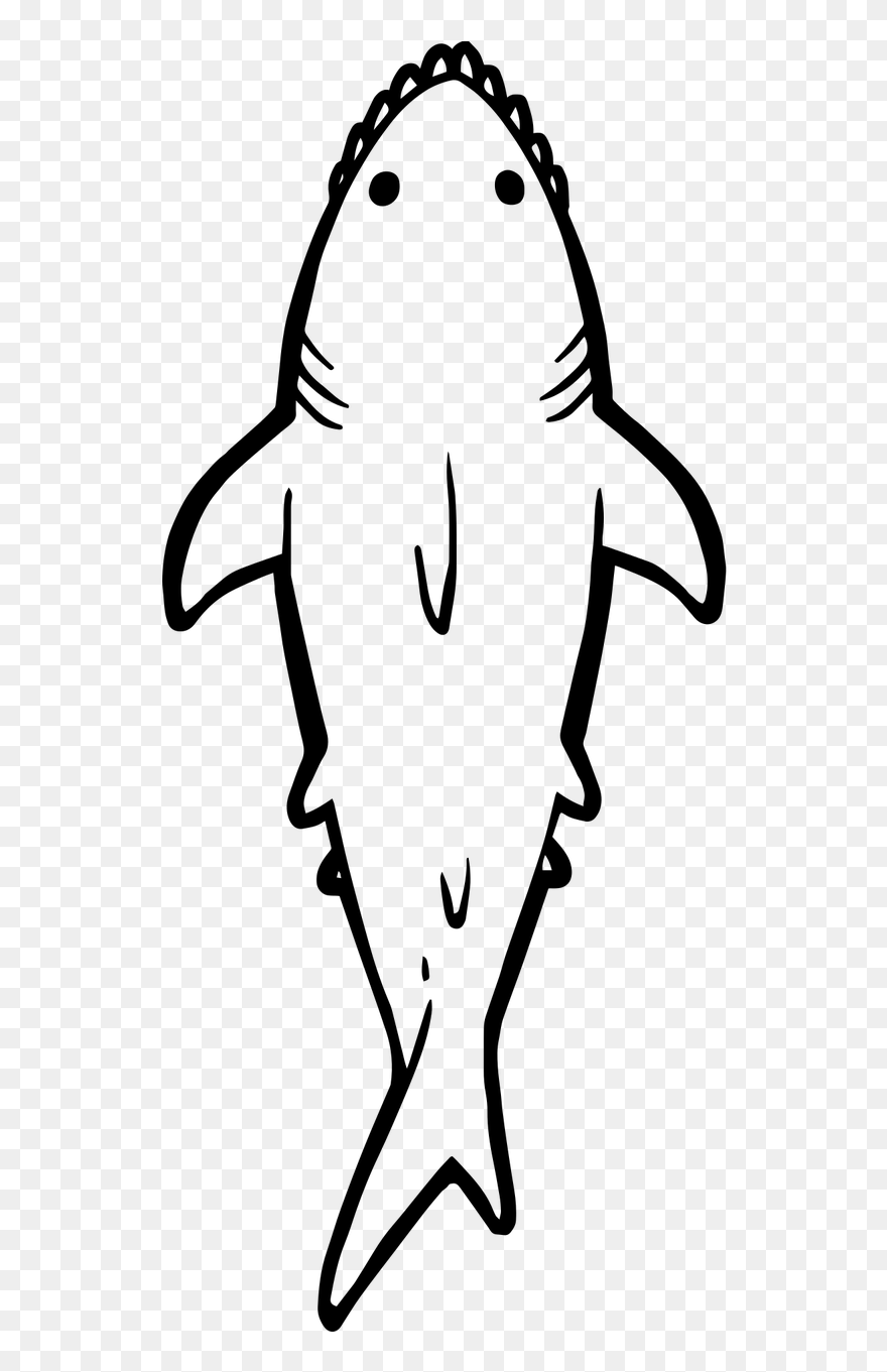 Sharks Clipart