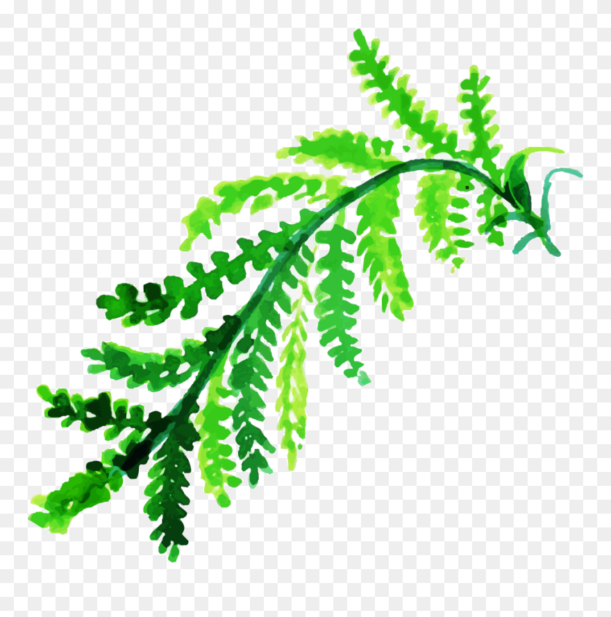 Clip Art - Png Download