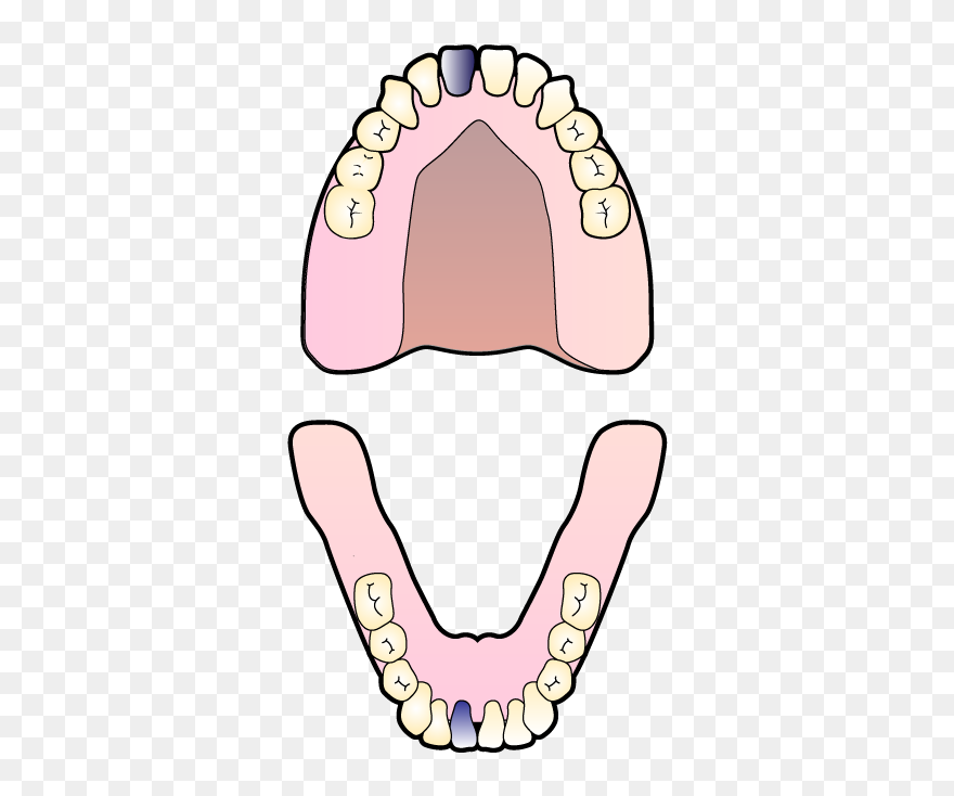 Clip Art - Png Download