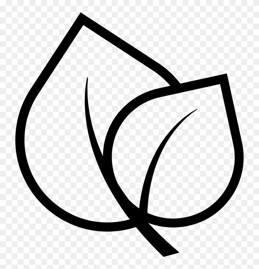 Meet Shaz Kawakawa Massage Clipart