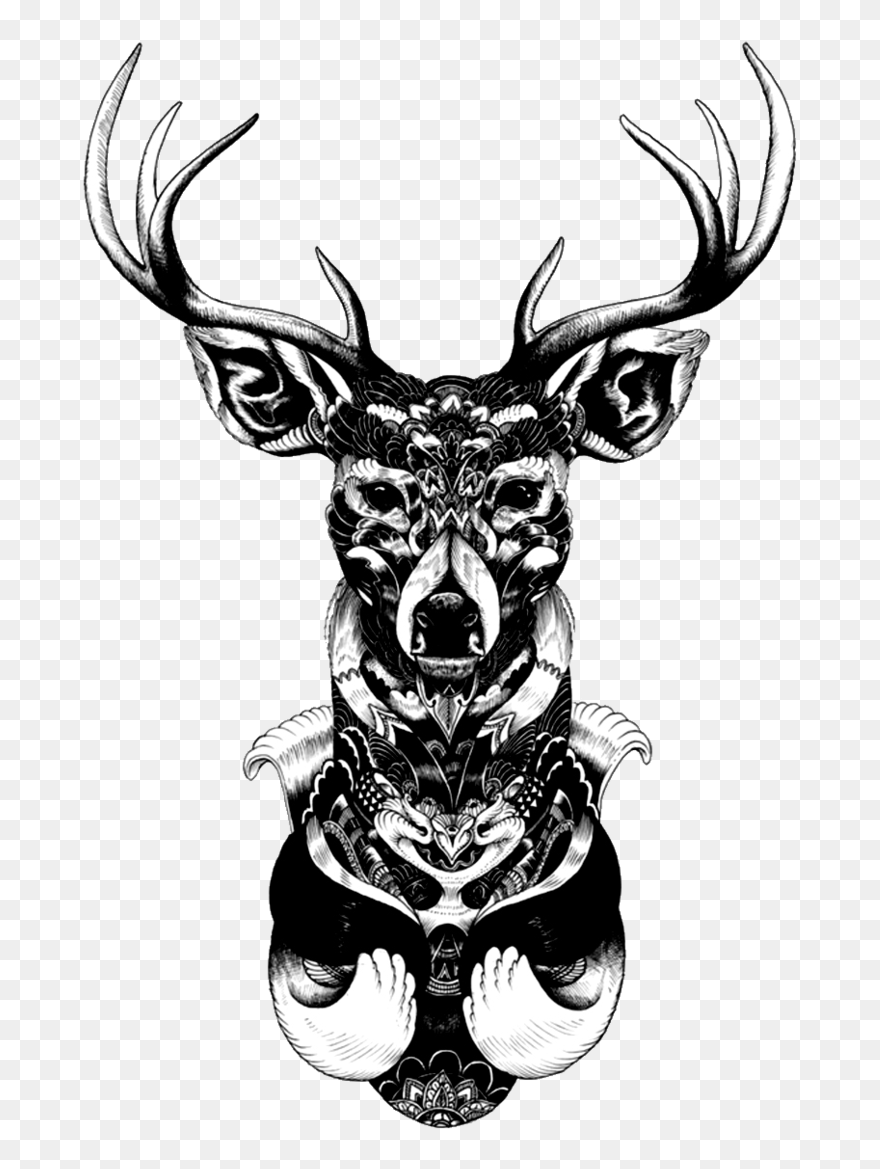 Dreamcatcher Illustrator Drawing Artist Free Hq Image - Mandala Deer Tattoo Clipart