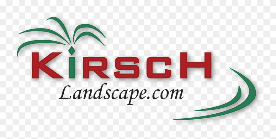 Graphic Design Clipart