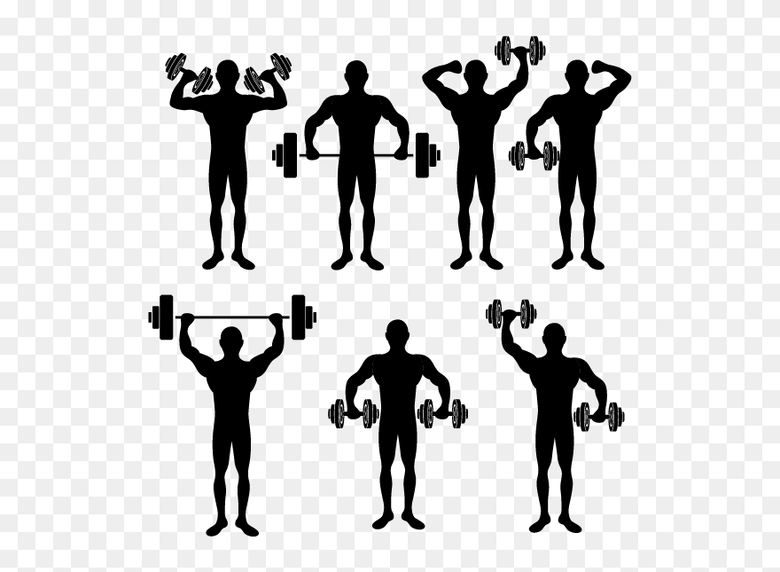 Physical Exercise Physical Fitness Stretching Silhouette - Hypertrophy Vs Strength Results Clipart