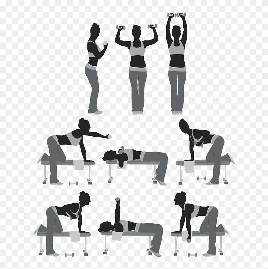 Silhouette Wellness Sa Weight Training Illustration - Illustration Clipart