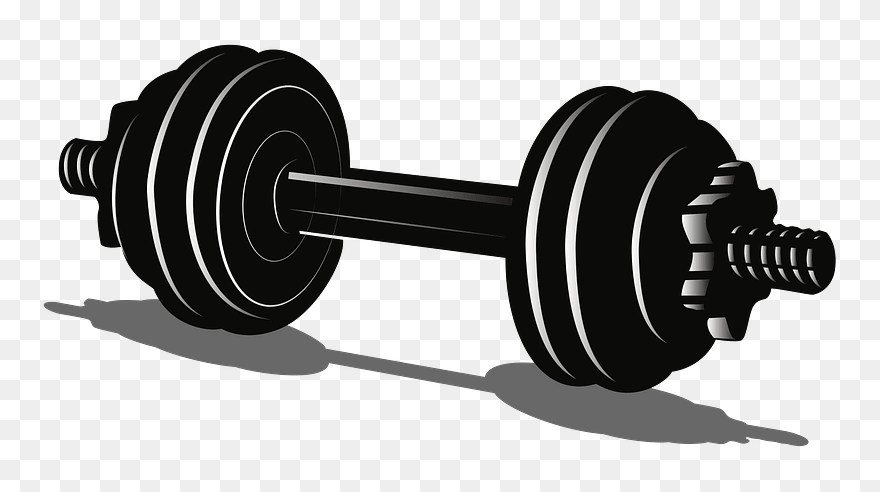 1552884071 Clipart - Gambar Alat Olahraga Gym Kartun - Png Download