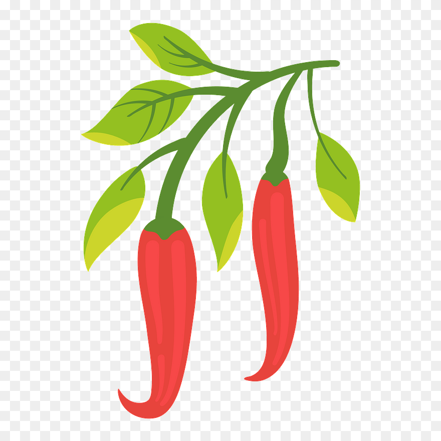 Chili Pepper Clipart - Chile Pepper Clipart - Png Download