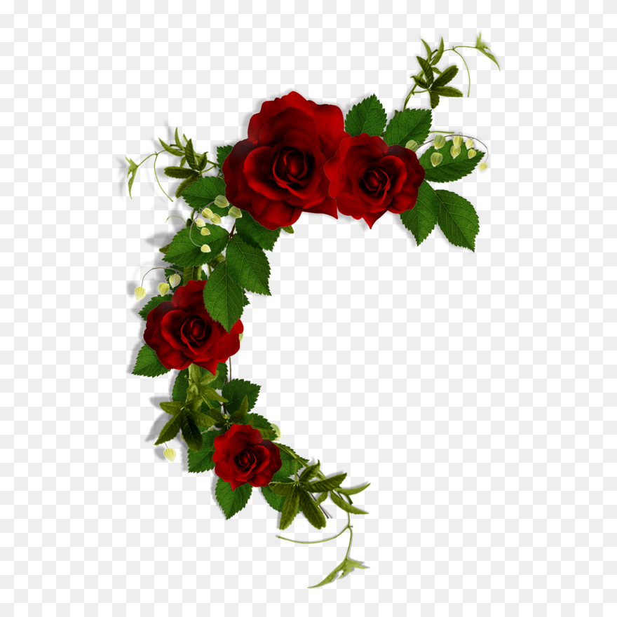 Red Ftu Cluster Png Clipart