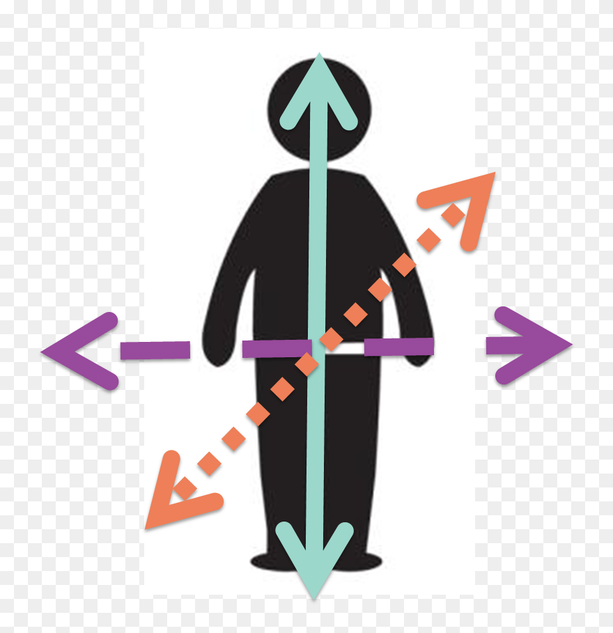 Brain Development - Graphic Of Physical Development Clipart