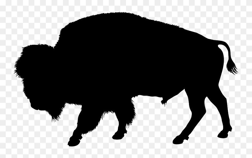 Buffalo Silhouette Png Clipart