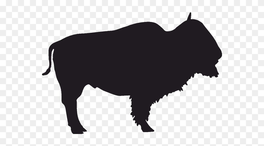 Creamery Brook Bison Buffalo Bills Jackson - Wild Buffalo Vector Clipart