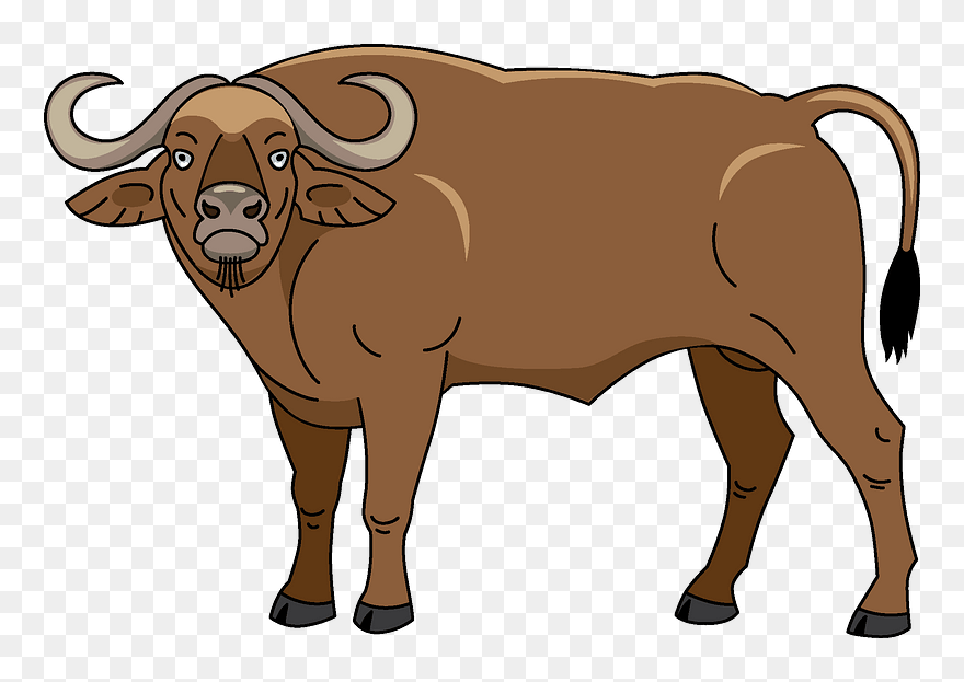 Buffalo Clipart - Png Download