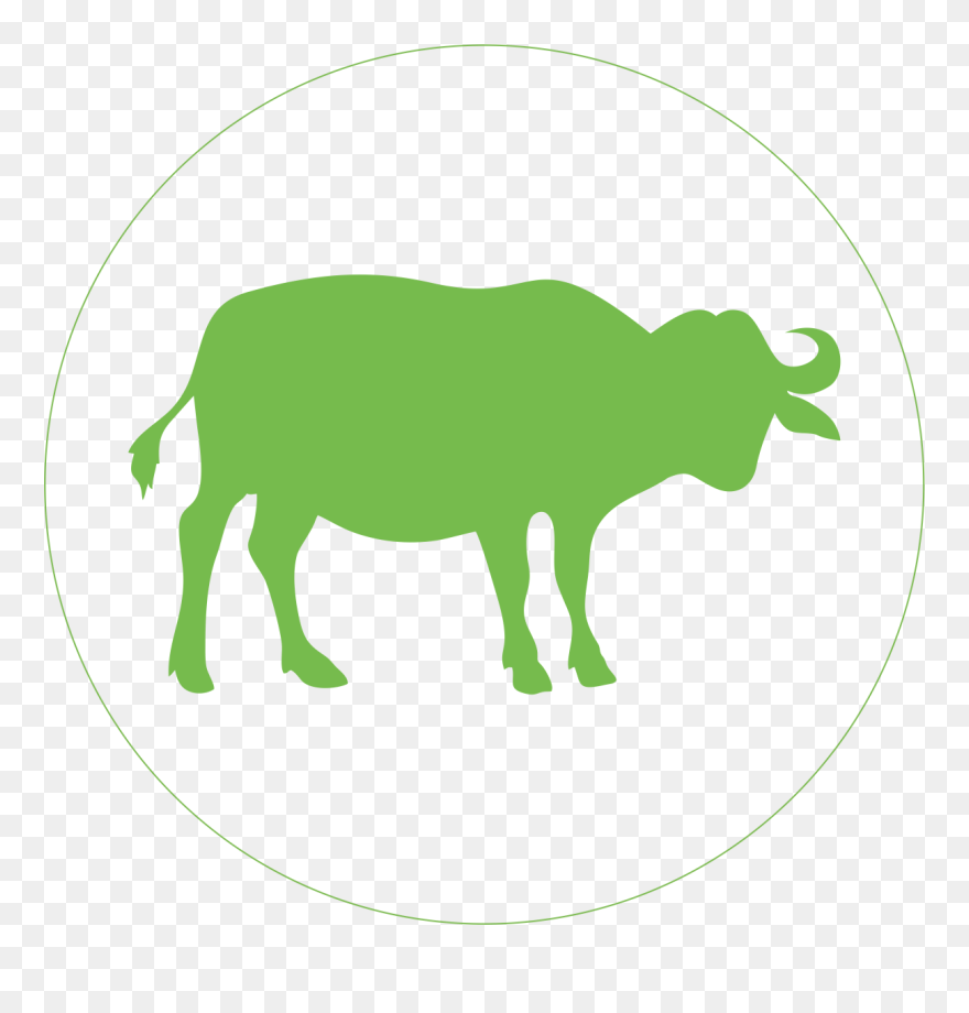 Big 5 Safari Sticker Buffalo - Cattle Clipart