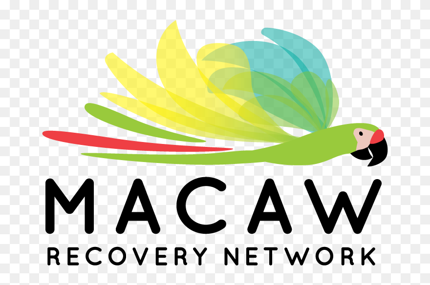 For Further Communications And Information About Macaw - Parakeet Clipart