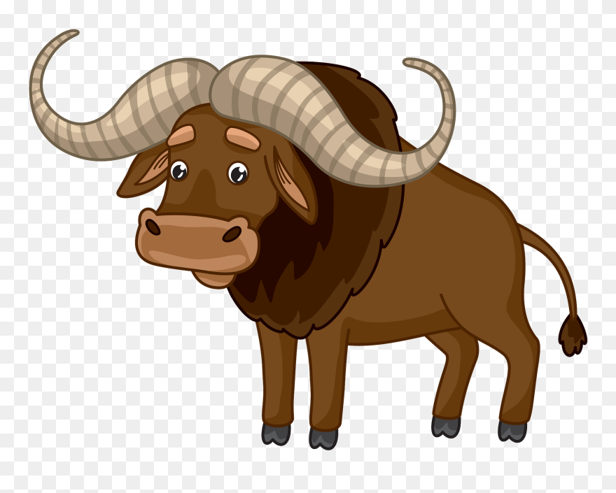 Buffalo Clipart - Png Download