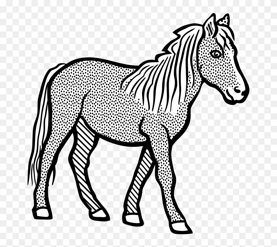 Pony,horse Tack,colt Png Clipart - Clip Art Black And White Horse Transparent Png