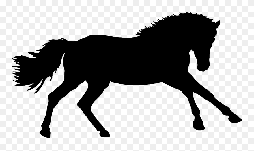 Pferd Silhouette - Mane Clipart