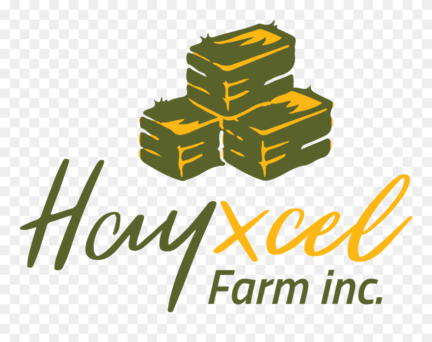 Graphic Design Clipart