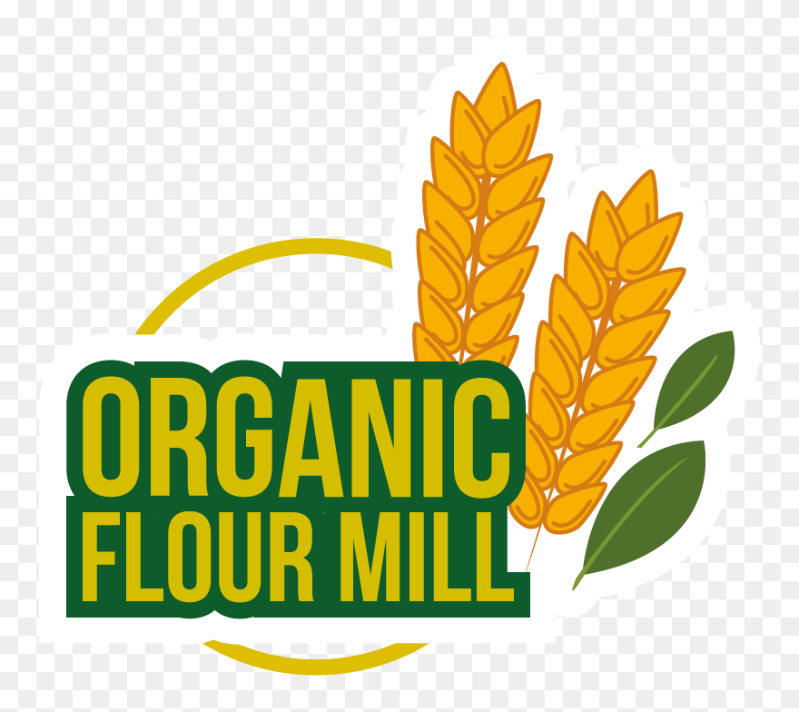 Clip Art - Png Download