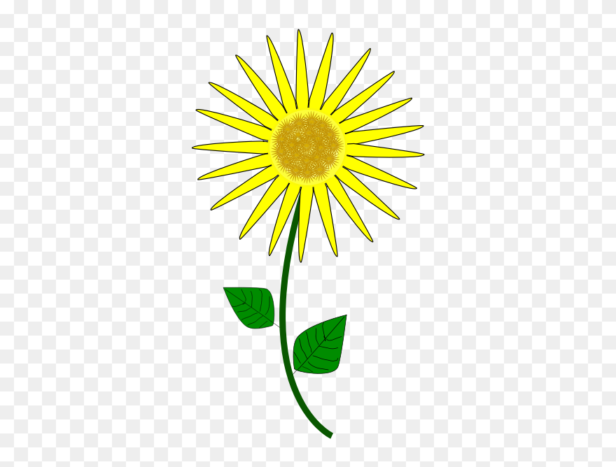 Flower, Sunflower - Sunflower Cartoon Clipart