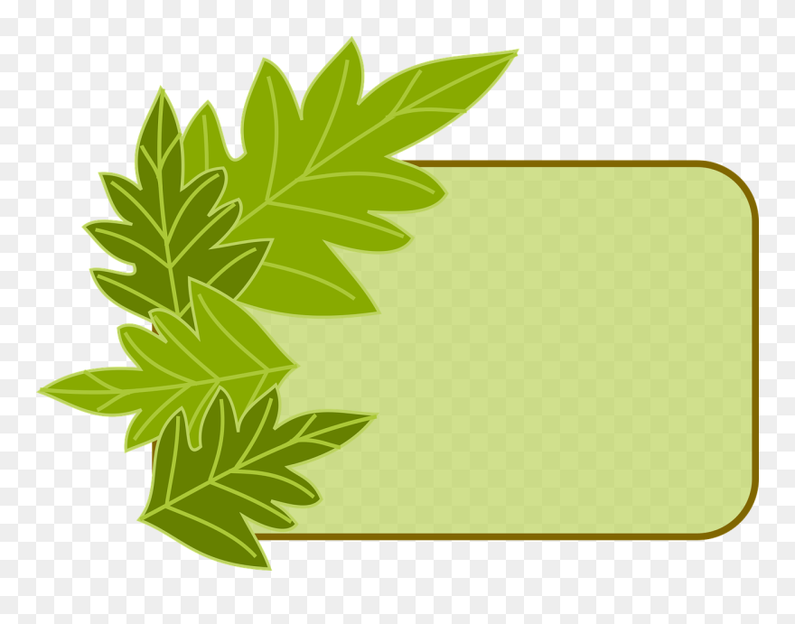Transparent Herbal Clipart - Eco Frame - Png Download