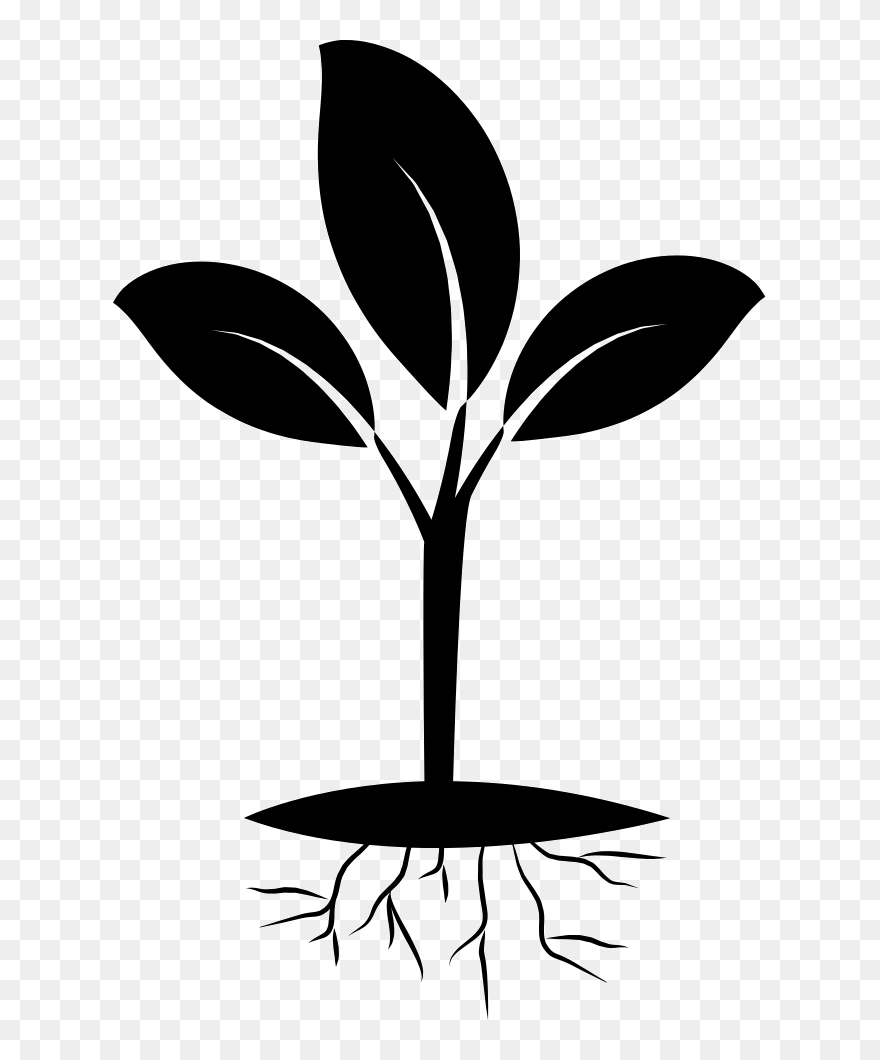 Free Plant Roots Png Seedling Black And White- - Seedling Clipart Black And White Transparent Png
