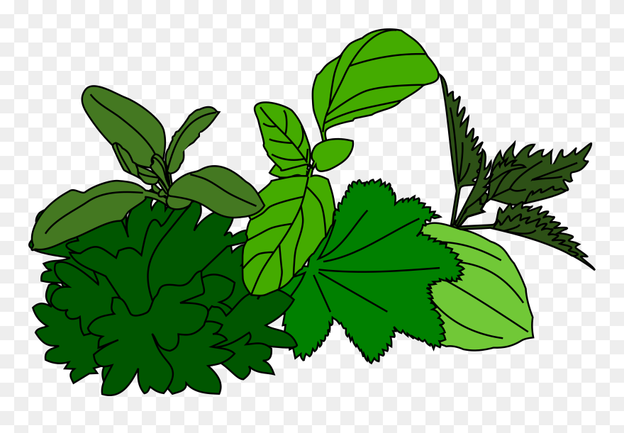 Clip Art - Png Download