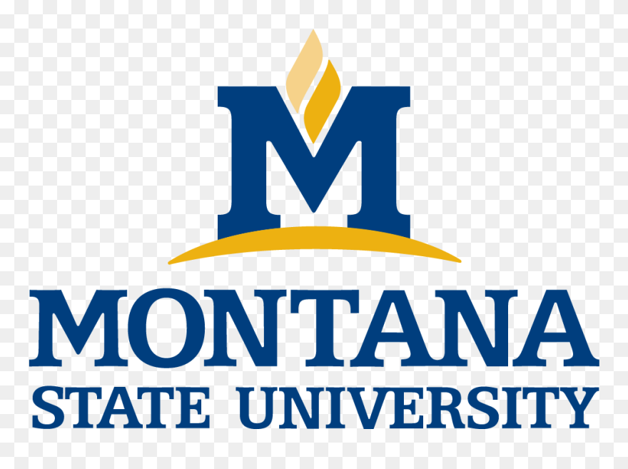 Montana State University Logo Png - Montana State University Bozeman Logo Clipart
